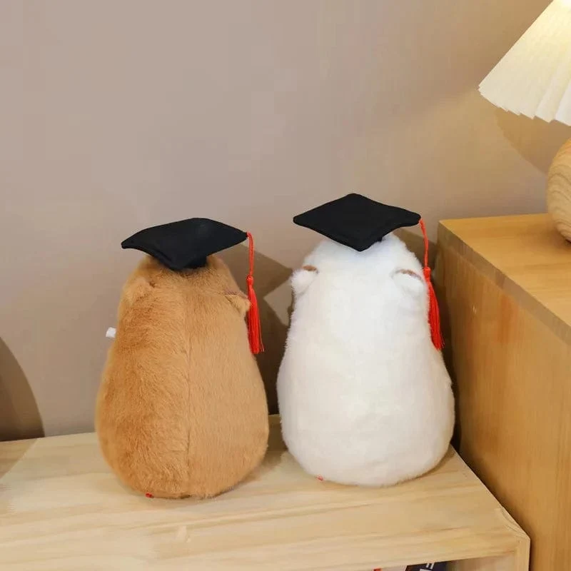 Absolventen-Plüschpuppen, Doktor, Capybara, Eule, Bär, Plüschtier, süßes Stofftier, Spielzeugpuppe, weiches Cartoon-Kissen, Abschlussgeschenk