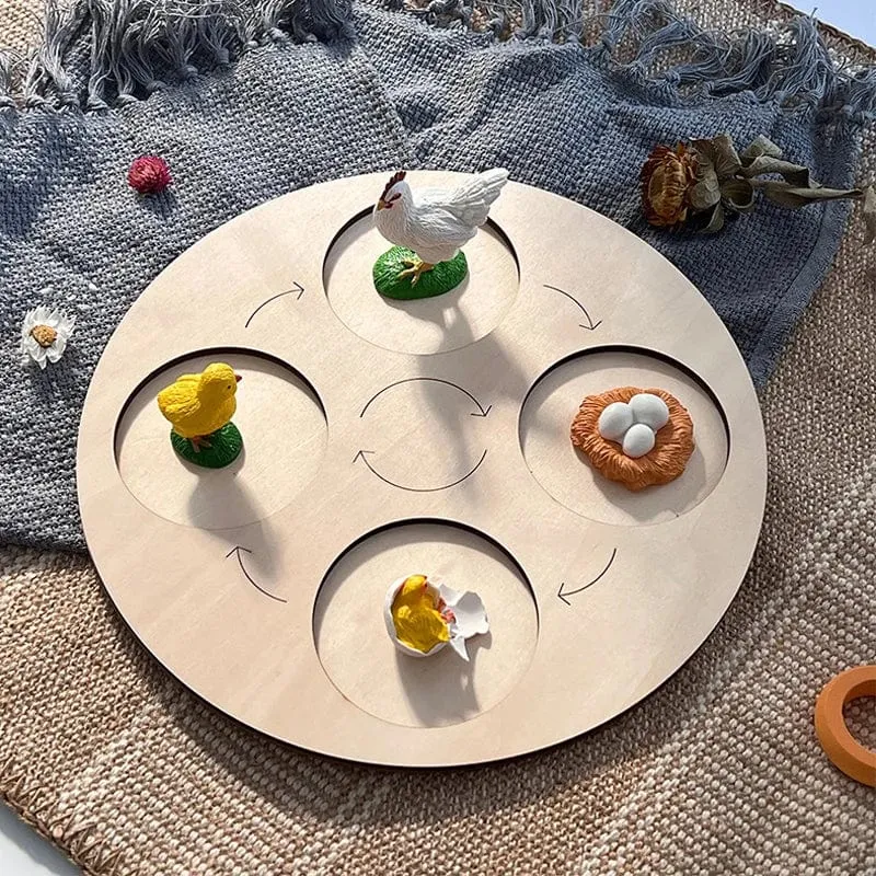 Tier Lebenszyklus Bord Kinder Spielzeug Montessori Lehrmittel Pflanze Tier Wachstumszyklus Modell Set Vorschule kognitiven Spielzeug
