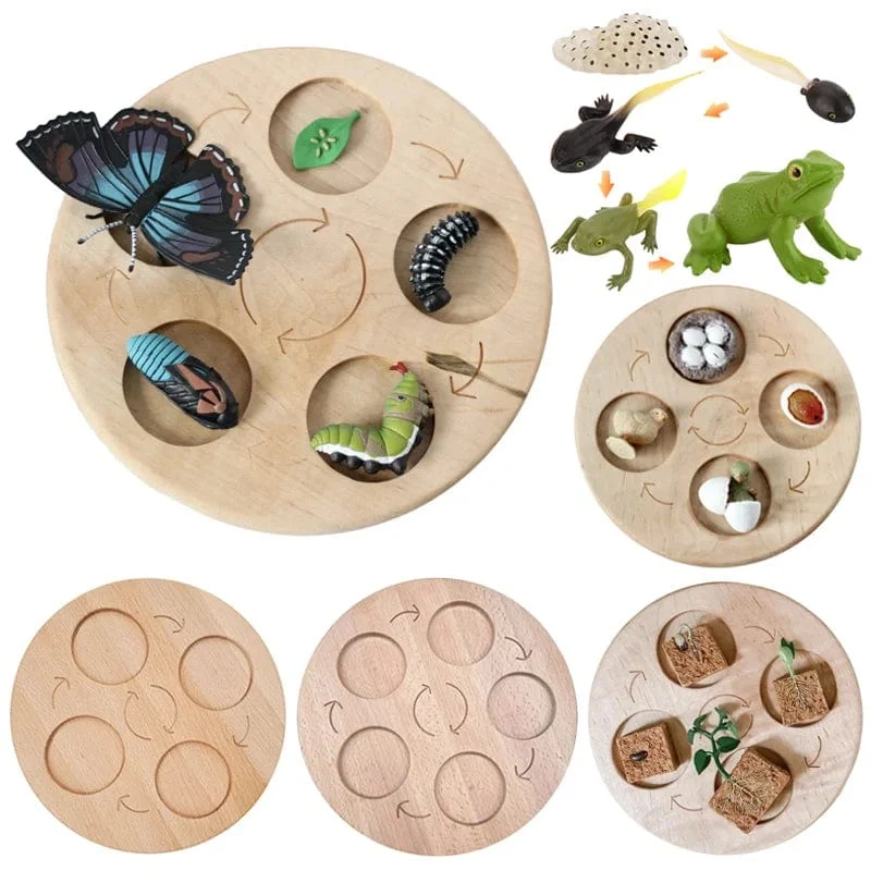 Tier Lebenszyklus Bord Kinder Spielzeug Montessori Lehrmittel Pflanze Tier Wachstumszyklus Modell Set Vorschule kognitiven Spielzeug