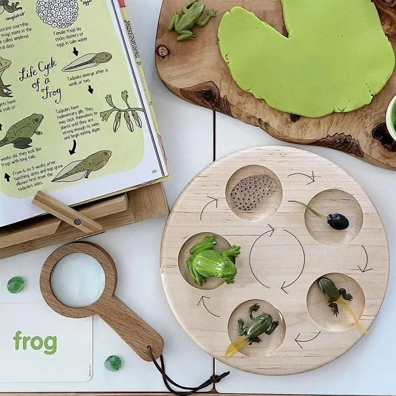 Tier Lebenszyklus Bord Kinder Spielzeug Montessori Lehrmittel Pflanze Tier Wachstumszyklus Modell Set Vorschule kognitiven Spielzeug
