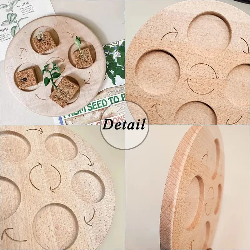 Tier Lebenszyklus Bord Kinder Spielzeug Montessori Lehrmittel Pflanze Tier Wachstumszyklus Modell Set Vorschule kognitiven Spielzeug