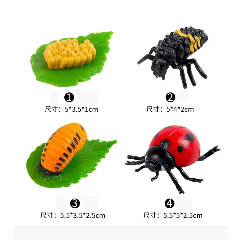 Tier Lebenszyklus Bord Kinder Spielzeug Montessori Lehrmittel Pflanze Tier Wachstumszyklus Modell Set Vorschule kognitiven Spielzeug