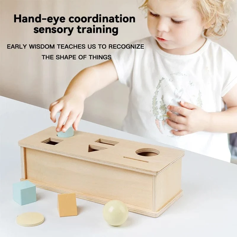 Montessori Holzspielzeug für Kleinkinder, Zielbox, Rolltrommel, Farbe, Form, Erkenntnis, Spiel, pädagogisches sensorisches Baby, Lehrmittel, Geschenke