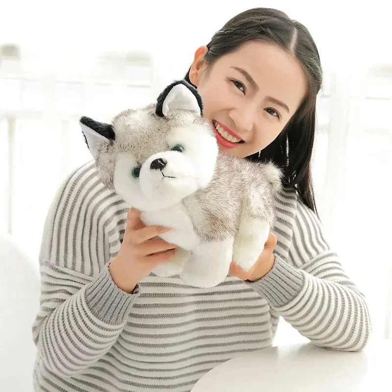 Süßes Husky-Plüschtier, weiche Stoffpuppe, Kawaii-Kinderspielzeug, Geburtstagsgeschenk für Mädchen, flauschige Tierpuppen, Größe 20 cm