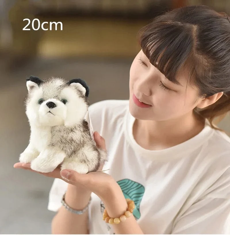 Süßes Husky-Plüschtier, weiche Stoffpuppe, Kawaii-Kinderspielzeug, Geburtstagsgeschenk für Mädchen, flauschige Tierpuppen, Größe 20 cm