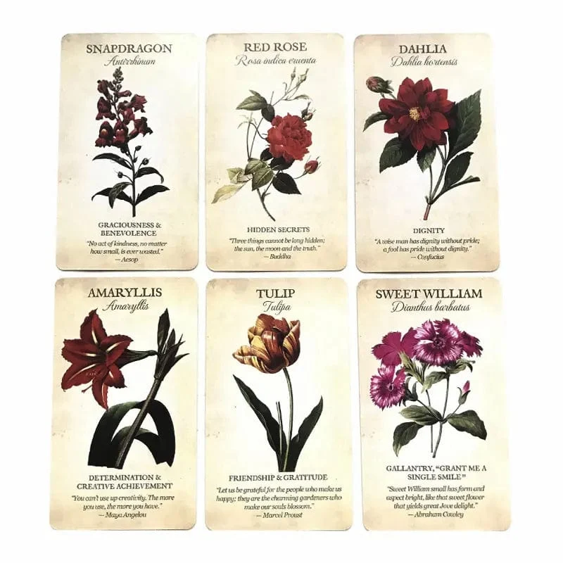 Heiße Verkäufe Botanische Inspirationen Orakel-Tarotkarte Schicksals-Wahrsagung Prophezeiungskarte Familienparty-Spiel Spielzeug Tarot 44 Kartendeck-Anleitung