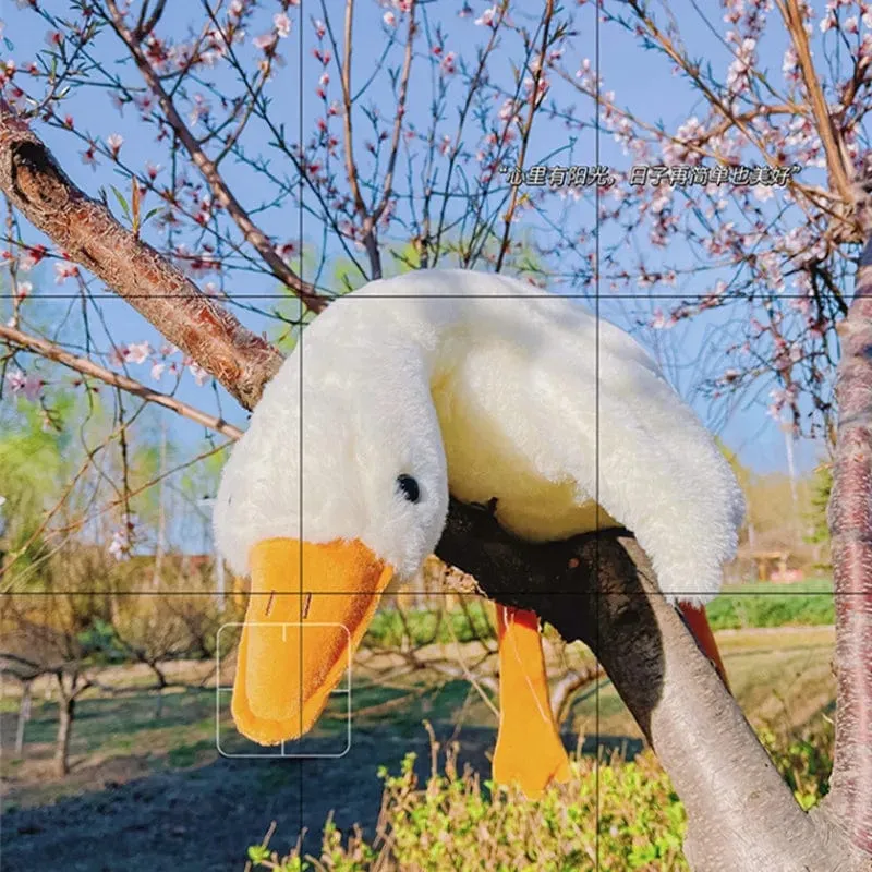 50/130CM Hot Goose Plüsch Weiche Ente Schlafkissen Sofakissen Kinder Freundin Geburtstagsgeschenk