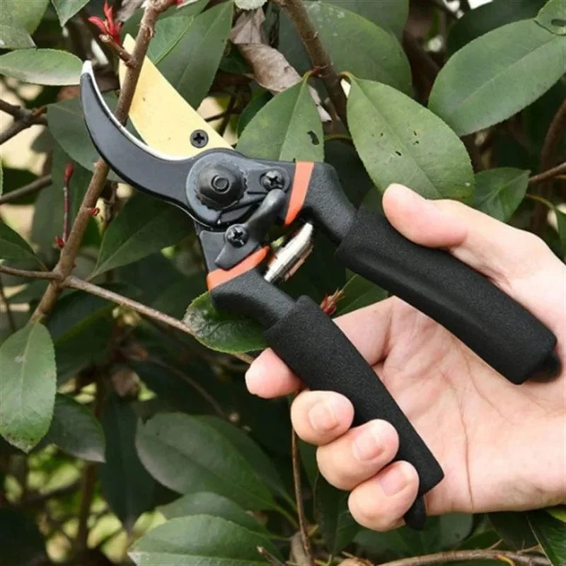 Multifunktionales Obstzweig-Beschneiden, starkes Beschneiden, dicke Zweige, Garten, scharfe Hand-Schere, Beschneiden, professionelle Gartenschere