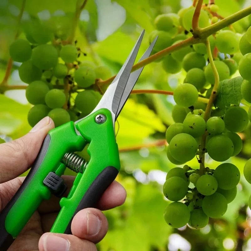 Gartengeräte Gartenschere Bonsai-Schere Metall Gartenschere Beschneidungswerkzeug Handschneider Obstpflücken Unkraut Haushalt Topfpflanzen 1PC