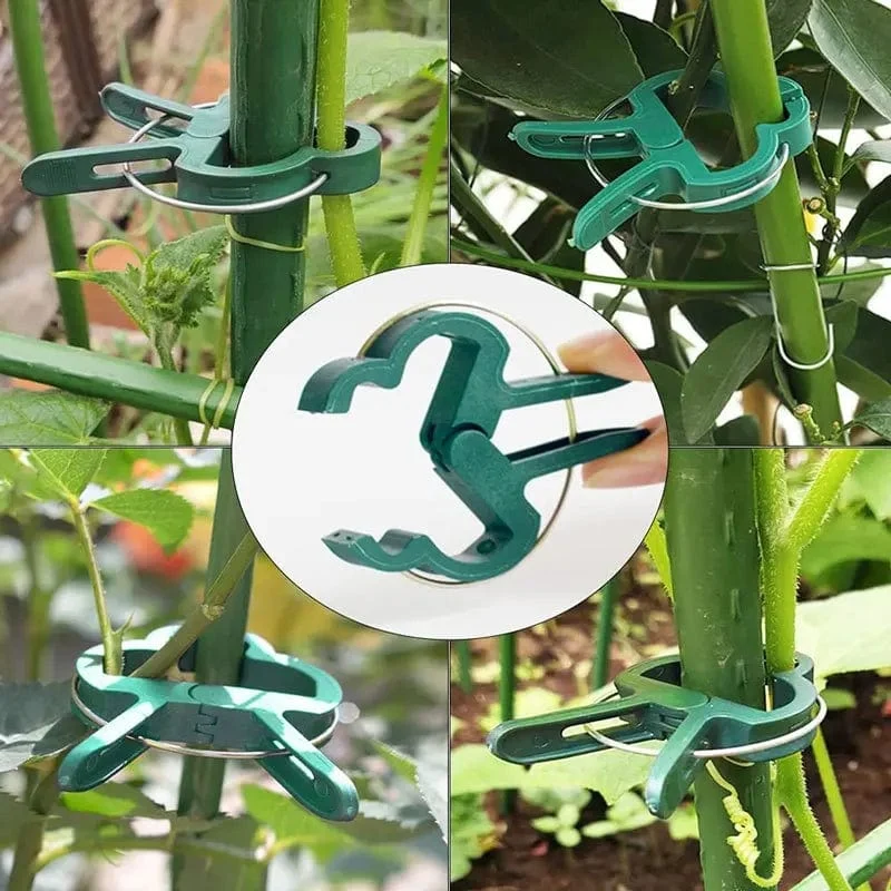 20 Stück Pflanzen-Befestigungsklammern, wiederverwendbare Halterung für Gewächshaus, für feste Pflanzen, Ranken, Blumen, Sämlinge, Stängel, Unterstützung für Gartenbedarf