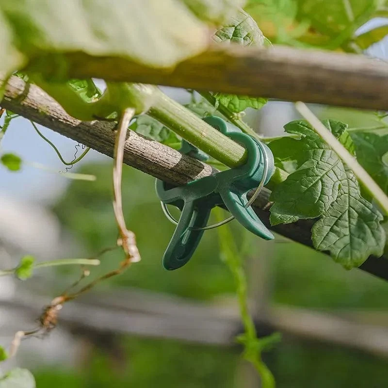 20 Stück Pflanzen-Befestigungsklammern, wiederverwendbare Halterung für Gewächshaus, für feste Pflanzen, Ranken, Blumen, Sämlinge, Stängel, Unterstützung für Gartenbedarf