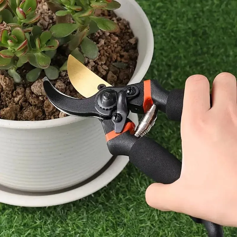 Gartenschere, Pflanzenbeschnitt, Gartenbau, Handschere, Strauchschere, Gartenschere, Obstgarten-Astschere, professionelles Schnittwerkzeug