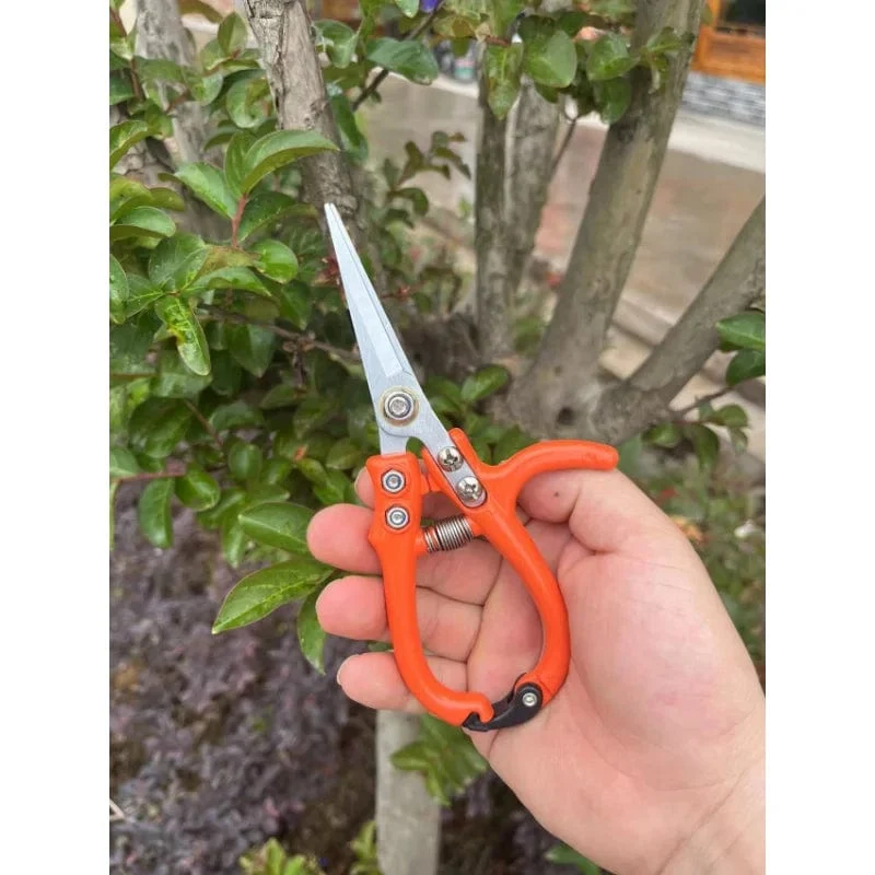 Multifunktionale Gartenschere, manuell, mit Sicherheitsschnalle, Edelstahlfeder, Gartenschere, Astschere, Pflanzenschneider