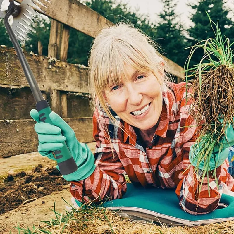 2-in-1-Werkzeug zur manuellen Unkrautentfernung, zum Entfernen von Graswurzeln und losen Pflanzen im Garten, zum Entfernen von Unkraut für den Garten, Rasen und Hof