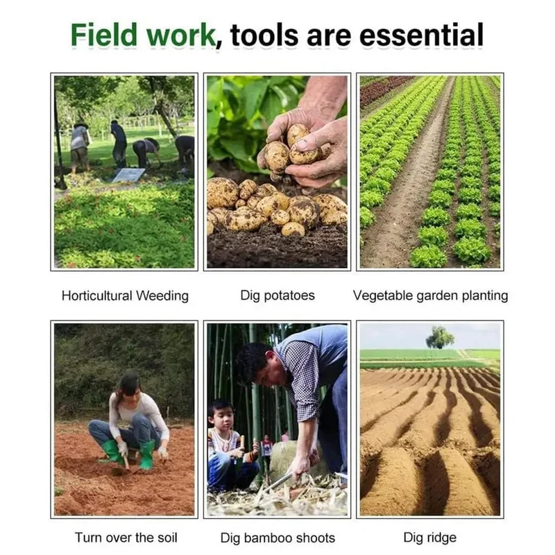 2-in-1-Werkzeug zur manuellen Unkrautentfernung, zum Entfernen von Graswurzeln und losen Pflanzen im Garten, zum Entfernen von Unkraut für den Garten, Rasen und Hof