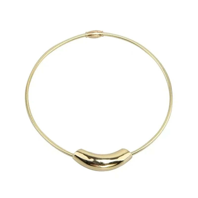 Französisches Retro-Design, Metallrohr, Schlangenknochen-Kettenhalsband für Damen, übertriebene Edelstahl-Halskette, farbloser Schmuck für Mädchen