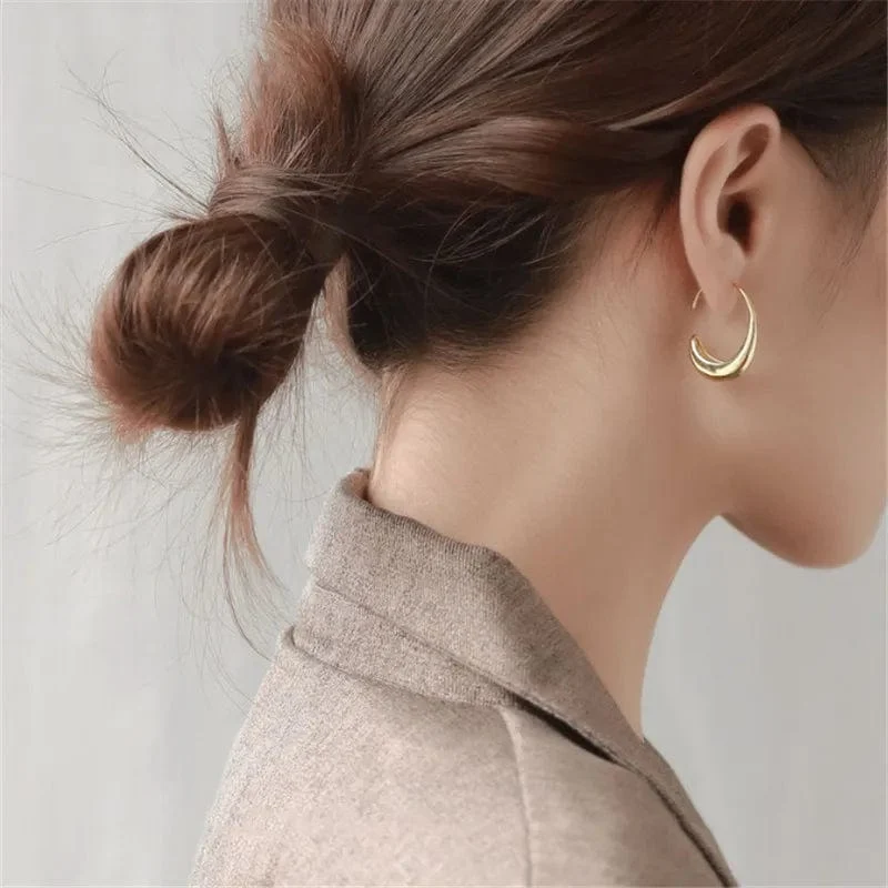 925 silber Nadel Geometrische Oval Hoop Ohrringe Für Frauen Party Hochzeit Punk Schmuck Geschenk e551