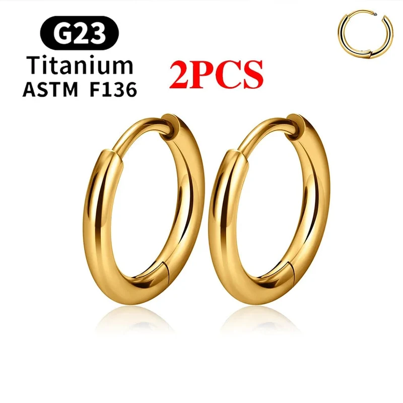 2/20 STK G23 Titan Ohrring Hoop CZ Scharniersegment runder Nasenring für Frauen Ohr Tragus Knorpel Helix Daith Piercing Schmuck