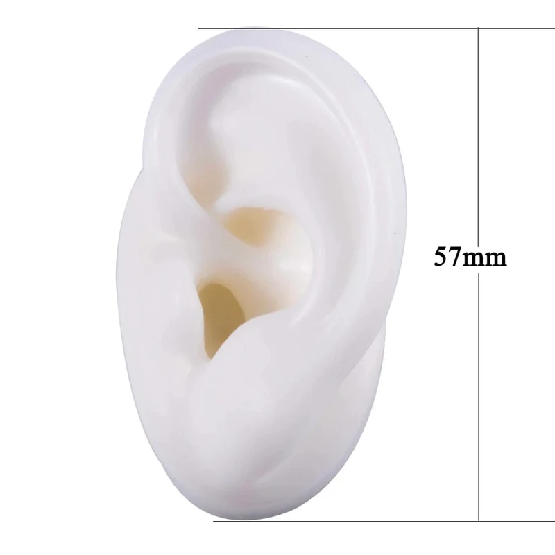 1PC Weiche Ohr Silikon Piercing Modell Tattoo Praxis Werkzeuge Ohrring Schmuck Display Acryl Display Stand Kit Heißer Verkauf