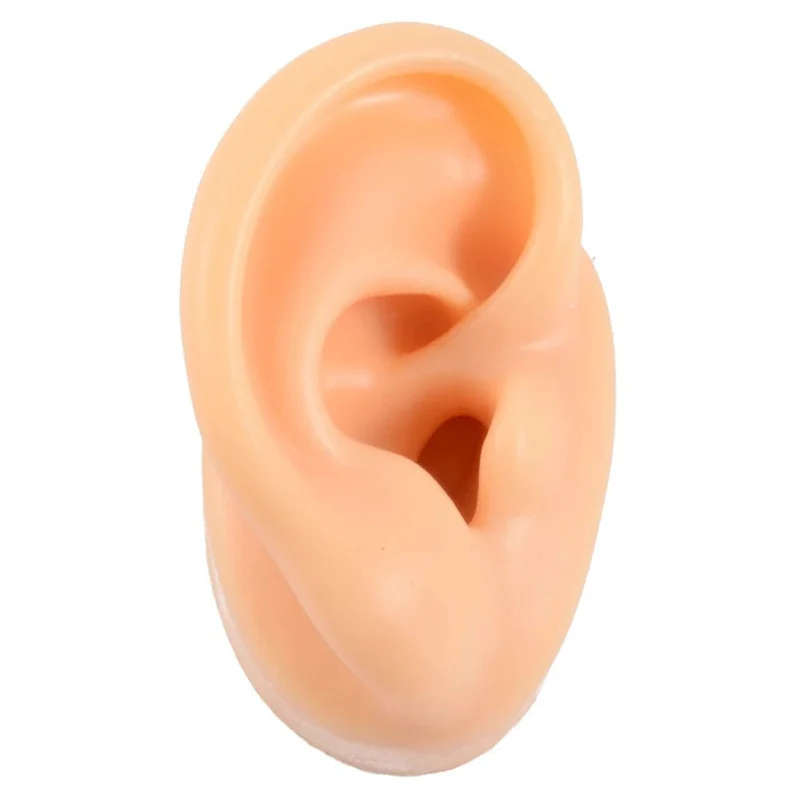 1PC Weiche Ohr Silikon Piercing Modell Tattoo Praxis Werkzeuge Ohrring Schmuck Display Acryl Display Stand Kit Heißer Verkauf