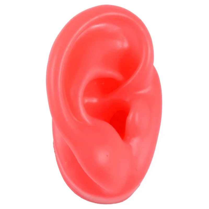 1PC Weiche Ohr Silikon Piercing Modell Tattoo Praxis Werkzeuge Ohrring Schmuck Display Acryl Display Stand Kit Heißer Verkauf