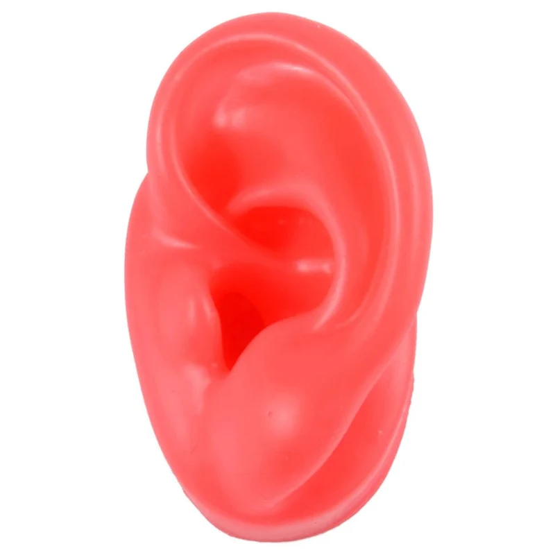 1PC Weiche Ohr Silikon Piercing Modell Tattoo Praxis Werkzeuge Ohrring Schmuck Display Acryl Display Stand Kit Heißer Verkauf