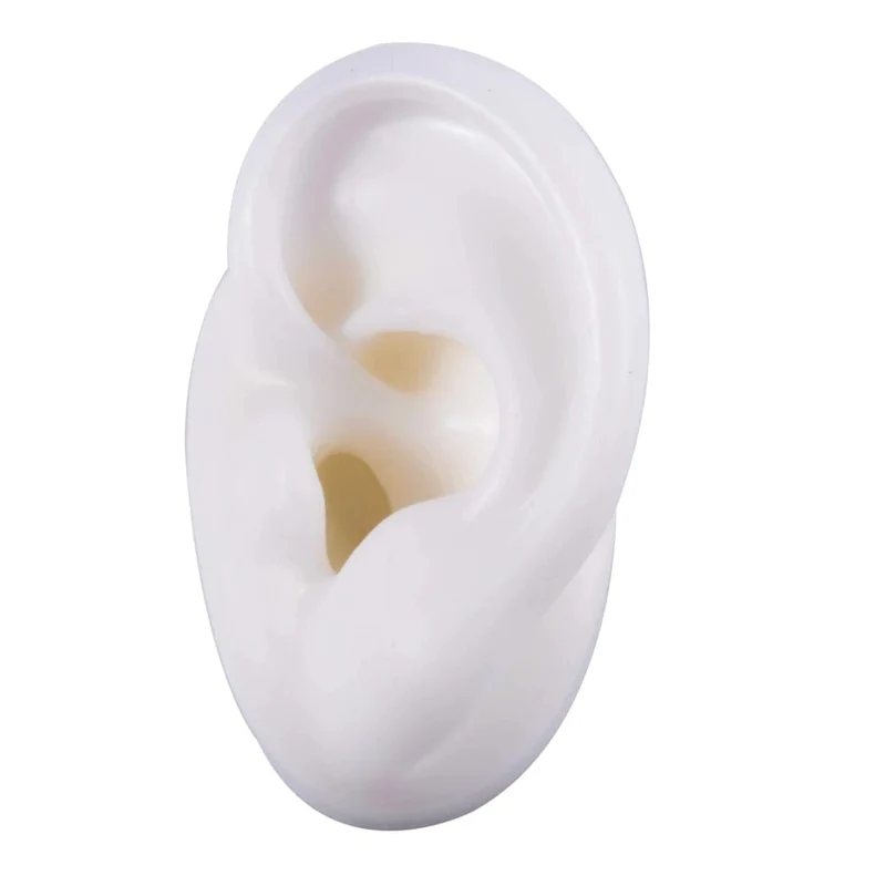 1PC Weiche Ohr Silikon Piercing Modell Tattoo Praxis Werkzeuge Ohrring Schmuck Display Acryl Display Stand Kit Heißer Verkauf