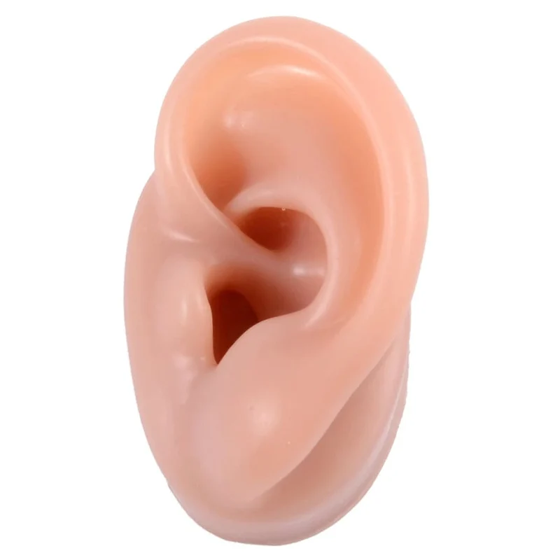 1PC Weiche Ohr Silikon Piercing Modell Tattoo Praxis Werkzeuge Ohrring Schmuck Display Acryl Display Stand Kit Heißer Verkauf