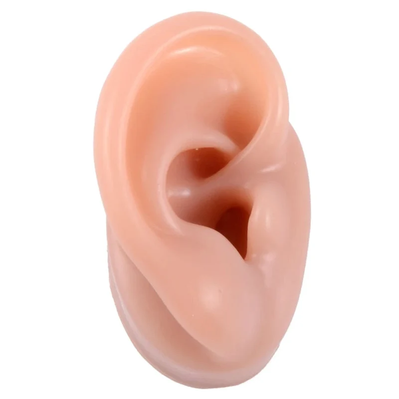1PC Weiche Ohr Silikon Piercing Modell Tattoo Praxis Werkzeuge Ohrring Schmuck Display Acryl Display Stand Kit Heißer Verkauf