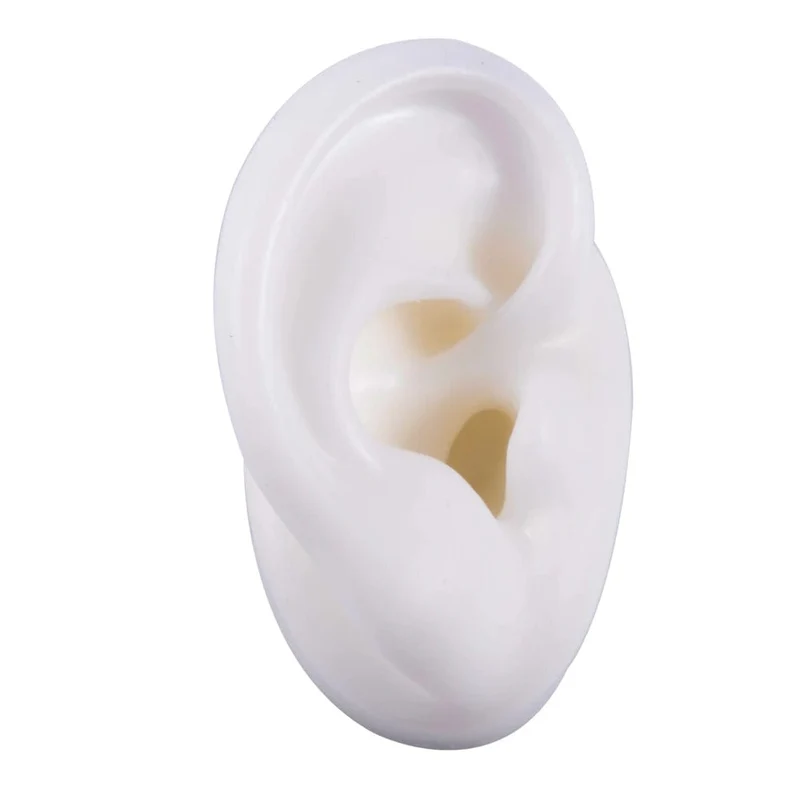 1PC Weiche Ohr Silikon Piercing Modell Tattoo Praxis Werkzeuge Ohrring Schmuck Display Acryl Display Stand Kit Heißer Verkauf