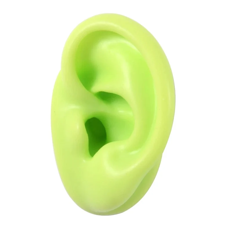 1PC Weiche Ohr Silikon Piercing Modell Tattoo Praxis Werkzeuge Ohrring Schmuck Display Acryl Display Stand Kit Heißer Verkauf
