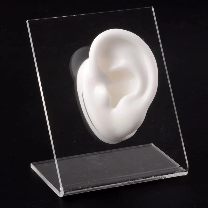 1PC Weiche Ohr Silikon Piercing Modell Tattoo Praxis Werkzeuge Ohrring Schmuck Display Acryl Display Stand Kit Heißer Verkauf