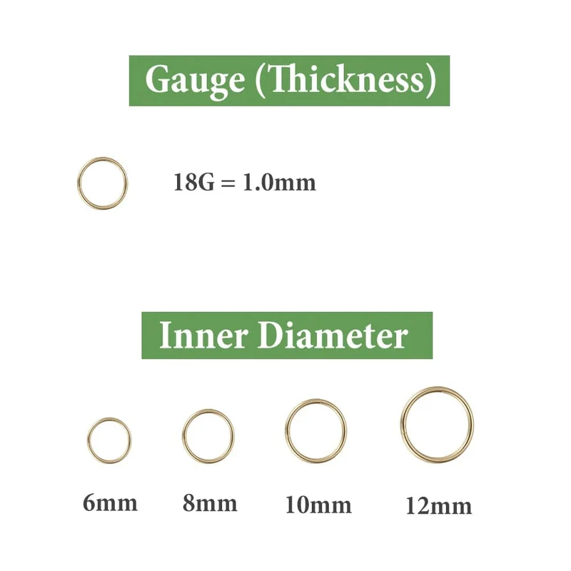 2/6 STK Nahtloser Nasenring aus 316L Edelstahl, klassischer Nasenring für Männer und Frauen, Creolen, Septum, Helix, Tragus, Ohrpiercing-Schmuck, 18G