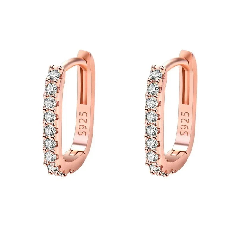 Hochwertige 925 Sterling Silber Kristall Mode Kreis Creolen für Frau Hochzeit Party Geschenk Straße Vielseitig Schmuck