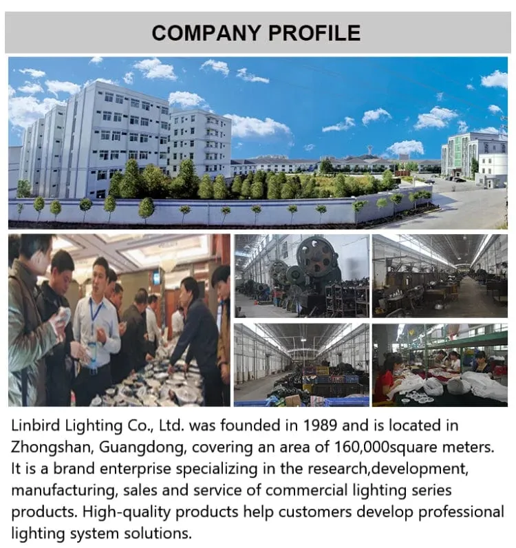 Smart Magnetische Schiene Licht System Moderne Flexible Leuchte LED Strahler DC48V Decke Innen Licht Smart Home Lampe Wohnzimmer