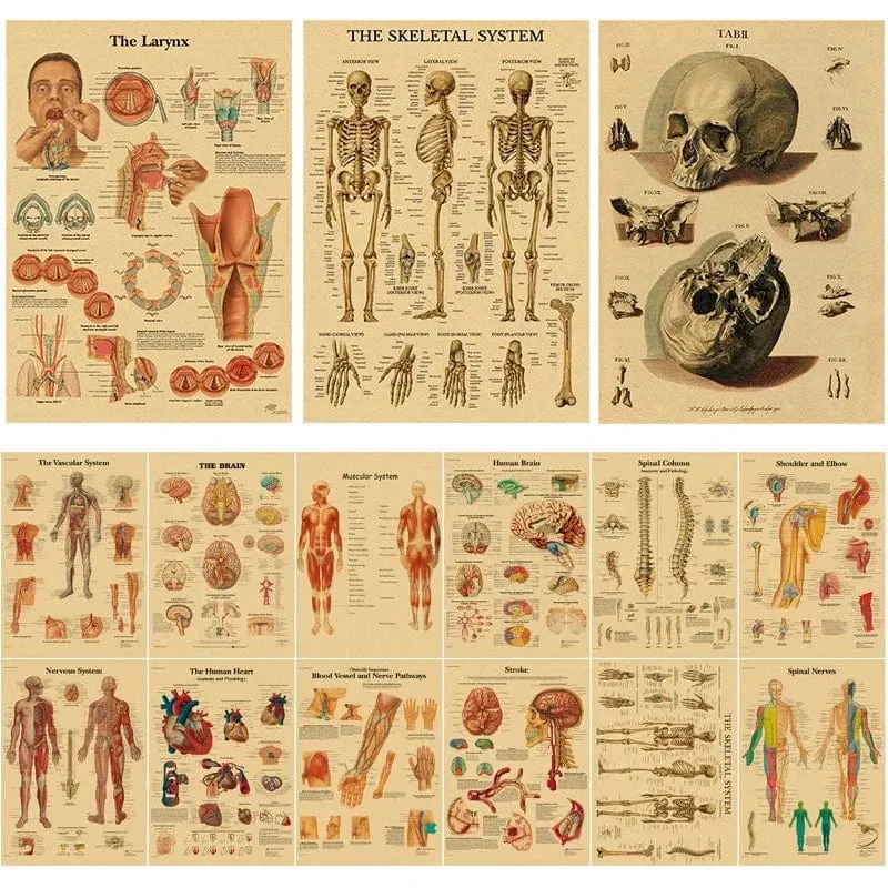 Retro-Organsysteme im menschlichen Körper Poster Skelett Anatomie Kraftpapier Drucke DIY Vintage Home Zimmer Kunst Wand Dekor Gemälde