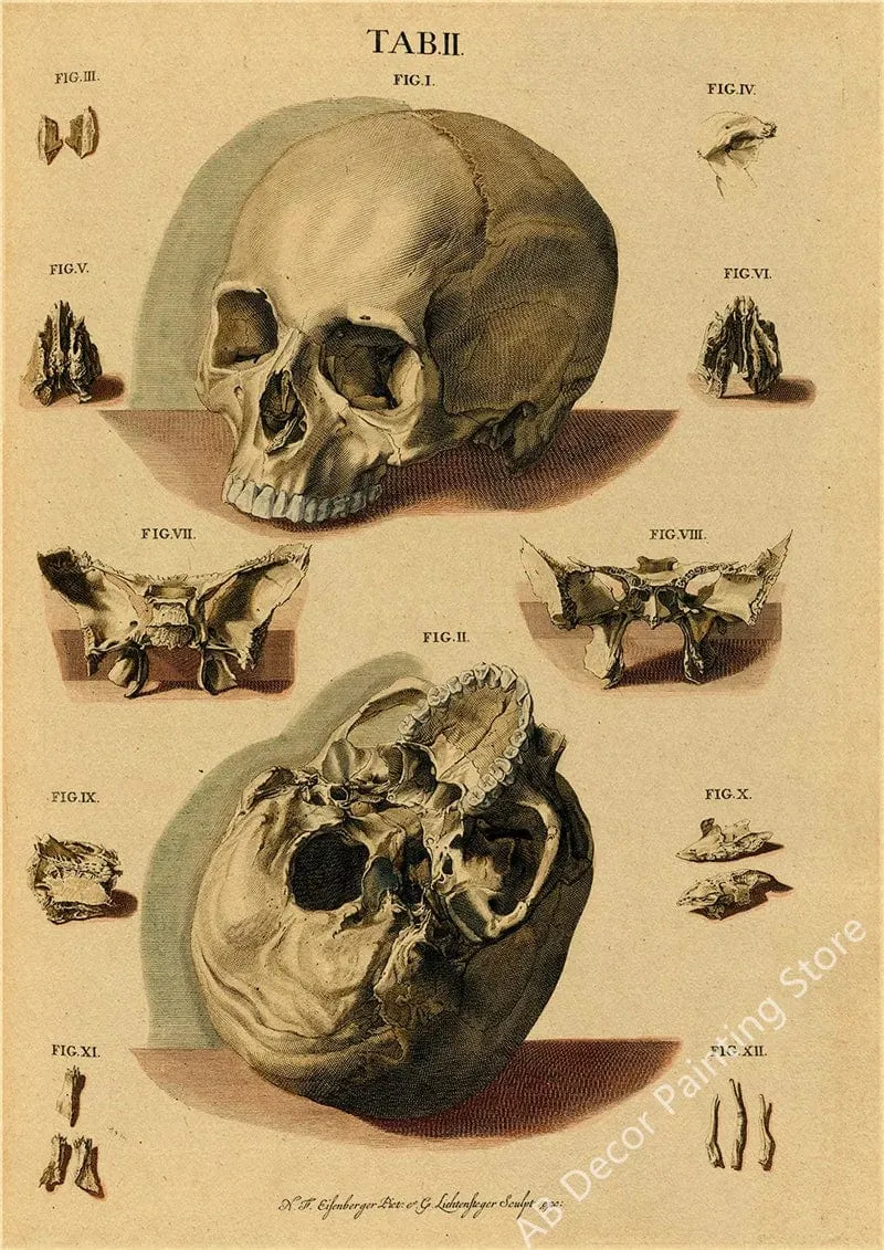Retro-Organsysteme im menschlichen Körper Poster Skelett Anatomie Kraftpapier Drucke DIY Vintage Home Zimmer Kunst Wand Dekor Gemälde