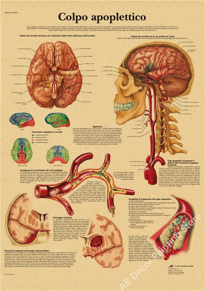 Retro-Organsysteme im menschlichen Körper Poster Skelett Anatomie Kraftpapier Drucke DIY Vintage Home Zimmer Kunst Wand Dekor Gemälde