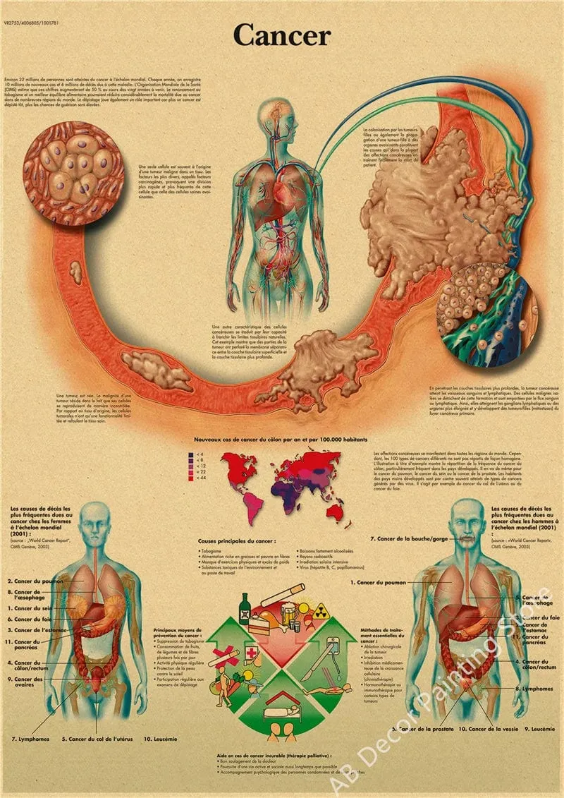 Retro-Organsysteme im menschlichen Körper Poster Skelett Anatomie Kraftpapier Drucke DIY Vintage Home Zimmer Kunst Wand Dekor Gemälde