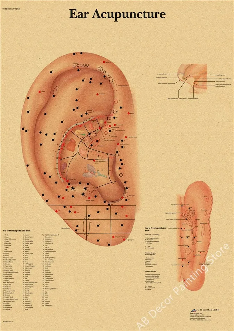 Retro-Organsysteme im menschlichen Körper Poster Skelett Anatomie Kraftpapier Drucke DIY Vintage Home Zimmer Kunst Wand Dekor Gemälde