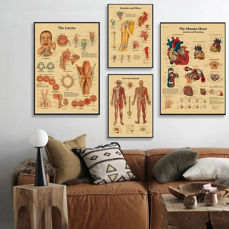 Retro-Organsysteme im menschlichen Körper Poster Skelett Anatomie Kraftpapier Drucke DIY Vintage Home Zimmer Kunst Wand Dekor Gemälde