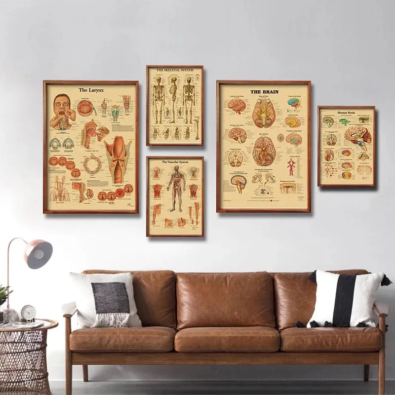 Retro-Organsysteme im menschlichen Körper Poster Skelett Anatomie Kraftpapier Drucke DIY Vintage Home Zimmer Kunst Wand Dekor Gemälde