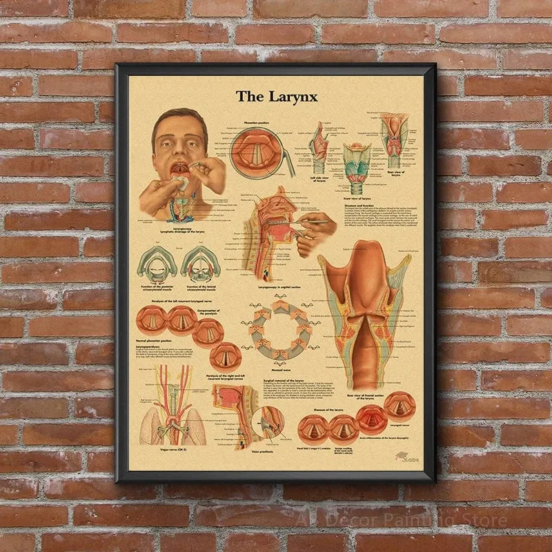 Retro-Organsysteme im menschlichen Körper Poster Skelett Anatomie Kraftpapier Drucke DIY Vintage Home Zimmer Kunst Wand Dekor Gemälde