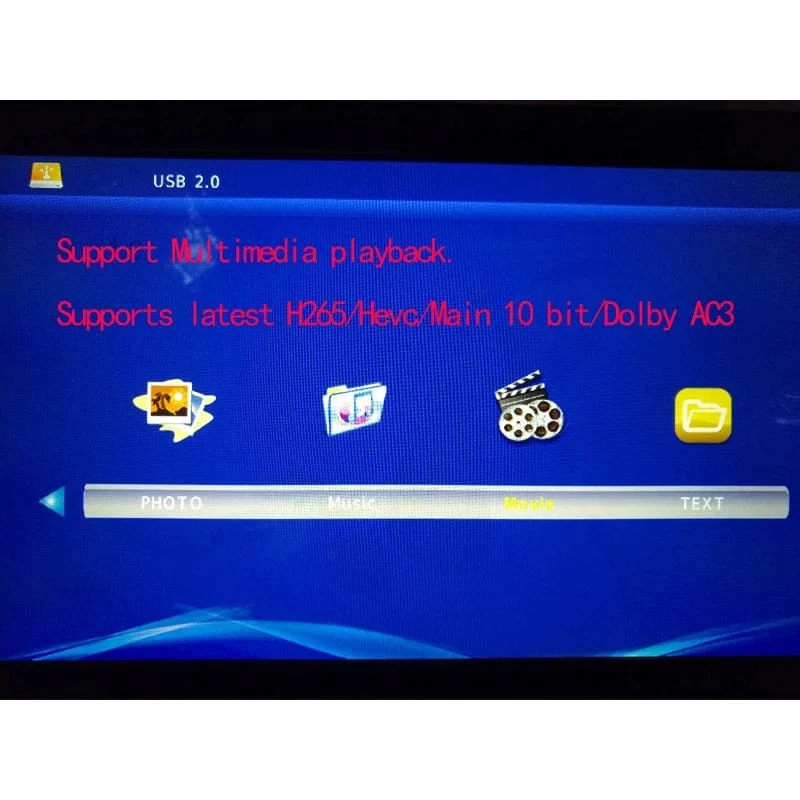 LEADSTAR D12 12 Zoll tragbarer mobiler Mini-Digitalfernseher mit ISDB-T DVB T2 ATSC H265 Hevc 1280 * 800 TF-Karte Digitalfernsehkonverter