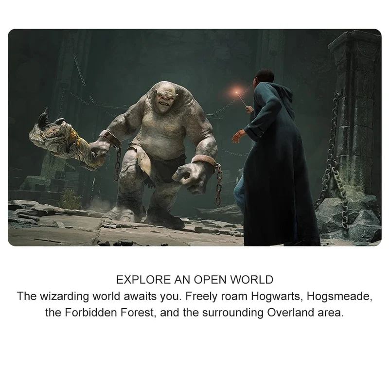 Hogwarts Legacy Nintendo Switch-Spielangebote, 100 % offizielle originale physische Spielkarte, RPG-Genre für die Nintendo Switch-Spielkonsole