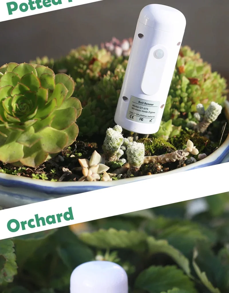 ZIGBEE Anlage Monitor Outdoor Boden Temperatur Meter Feuchtigkeit Feuchtigkeit Tester Sensor Garten Automatisierung Bewässerung TUYA Detektor