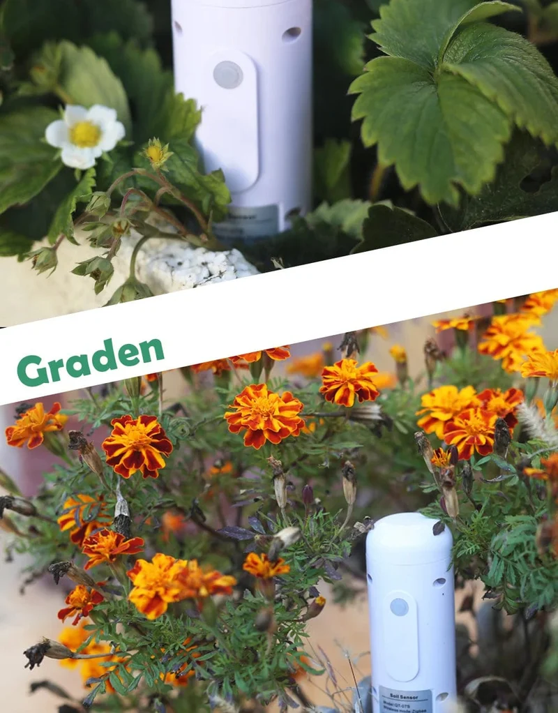 ZIGBEE Anlage Monitor Outdoor Boden Temperatur Meter Feuchtigkeit Feuchtigkeit Tester Sensor Garten Automatisierung Bewässerung TUYA Detektor