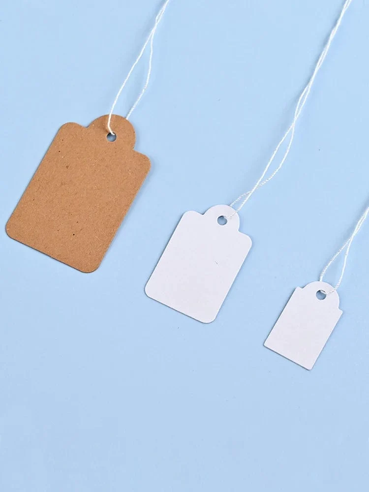 100 Stück Schmuckanhänger mit Seilringen, Preisschilder, weißes Kraftpapier, handgeschriebene Papierkarten, rechteckige, leere Gartenanhänger