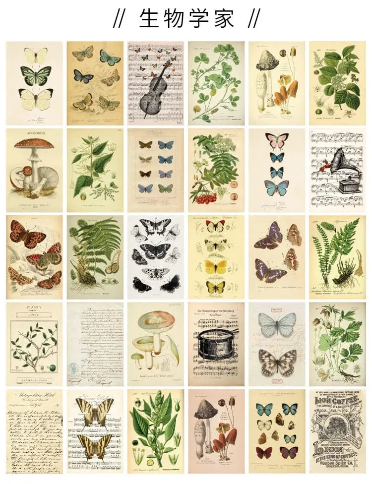 Ins Vintage Künstlerische Pflanze Schmetterling Dekorative Karte zimmer lustige Postkarten Hintergrund Wand Wohnkultur Foto Requisiten 30 Blätter