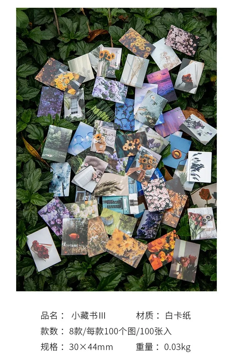 100 stücke Frühling Sommer Herbst Winter Kraftpapier Mini Grußkarte INS Blume Postkarte Briefumschlag Dekoration LOMO Karten